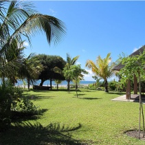 Lush tropical gardens